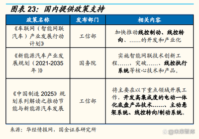 汽車行業(yè)國產(chǎn)替代專題分析報(bào)告 供應(yīng)鏈重塑下的本土技術(shù)開發(fā)機(jī)遇